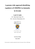 A genome-wide approach identifying regulators of CRISPR-Cas immunity in Serratia