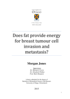 Does fat provide energy for breast tumour cell invasion and metastasis?