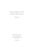 Numerical simulation of rifts in the Ross Ice Shelf, Antarctica