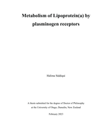 Metabolism of Lipoprotein(a) by plasminogen receptors