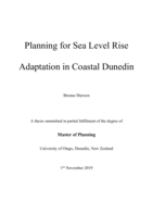 Planning for Sea Level Rise Adaptation in Coastal Dunedin