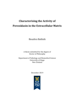 Characterising the activity of peroxidasin in the extracellular matrix