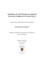 The role of the epithelial sodium channel in breast cancer cells