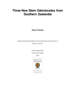 Three New Stem Odontocetes from Southern Zealandia