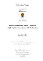 Effect of the Epithelial Sodium Channel on Triple Negative Breast Cancer Cell Proliferation