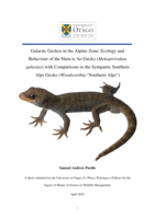 Galactic Geckos in the Alpine Zone: Ecology and Behaviour of the Hura te Ao Gecko (Mokopirirakau galaxias) with Comparisons to the Sympatric Southern Alps Gecko (Woodworthia "Southern Alps")