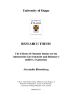 The Effects of Fructose Intake on the Intrauterine Environment and Blastocyst miRNA Expression