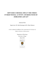 How does cortisol impact the stress-evoked neural activity and behaviour of zebrafish larvae?