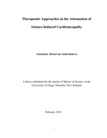 Therapeutic Approaches in the Attenuation of Seizure-Induced Cardiomyopathy