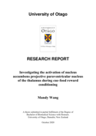 Investigating the activation of nucleus accumbens projective paraventricular nucleus of the thalamus during cue-food reward conditioning