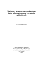 The impact of commensals predominant in the infant gut on signal cascades in epithelial cells