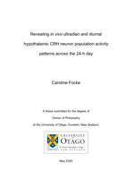 Revealing in vivo ultradian and diurnal hypothalamic CRH neuron population activity patterns across the 24-h day