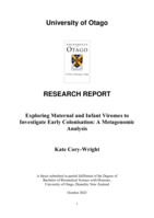 Exploring Maternal and Infant Viromes to Investigate Early Colonisation: A Metagenomic Analysis