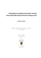 Experimental combination therapy against azole-based multidrug resistant Candida auris