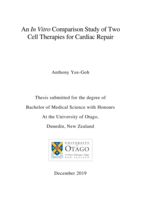 An In Vitro Comparison Study of Two Cell Therapies for Cardiac Repair