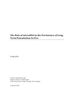 The Role of microRNA in the Persistence of Long-Term Potentiation In Vivo