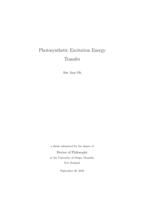 Photosynthetic Excitation Energy Transfer