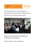 Recommendations for Theme 1 Research:  Healthy Food and Physical Activity Environments