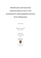 Identification and functional characterisation of novel viral pseudomurein endoisopeptidase proteins from methanogens
