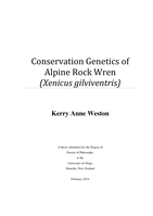 Conservation Genetics of Alpine Rock Wren (Xenicus gilviventris)