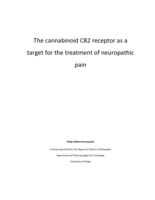 The cannabinoid CB2 receptor as a target for the treatment of neuropathic pain