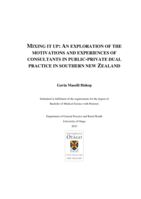 Mixing it Up: An exploration of the motivations and experiences of consultants in public-private dual practice in southern New Zealand