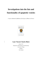 Investigations into the fate and functionality of apoptotic vesicles