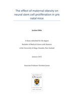 The effect of maternal obesity on neural stem cell proliferation in pre natal mice