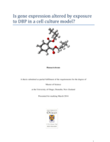 Is gene expression altered by exposure to DBP in a cell culture model?