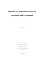 Expression and purification of native and recombinant [FeFe]-hydrogenase