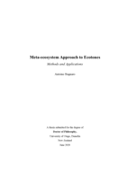 Meta-ecosystem approach to ecotones. Methods and applications