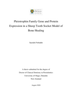 Pleiotrophin family gene and protein expression in a sheep tooth socket model of bone healing