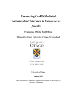 Uncovering CroRS-mediated antimicrobial tolerance in Enterococcus faecalis