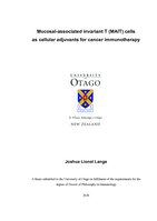 Mucosal-associated invariant T (MAIT) cells as cellular adjuvants for cancer immunotherapy