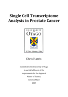 Single Cell Transcriptome Analysis in Prostate Cancer