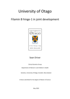 Filamin B hinge-1 in joint development