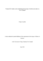 Vitamin B12 Intakes and Contributing Food Groups of Adolescent Males in New Zealand