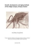 Growth, development, and aging methods of the midget octopus, Octopus huttoni
