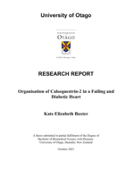 Organisation of Calsequestrin-2 in a Failing and Diabetic Heart