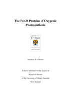 The Psb28 Proteins of Oxygenic Photosynthesis
