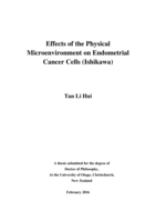 Effects of the Physical Microenvironment on Endometrial Cancer Cells (Ishikawa)