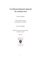 Sex-influenced epigenetic aging and the androgen clock