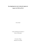 Investigating the role of selected regions in loop E of CP43 in PS II