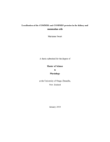 Localisation of the COMMD 1 and 3 Proteins