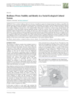 Resilience Pivots: Stability and Identity in a Social-Ecological-Cultural System