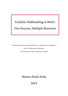 Catalytic Multitasking in MetC: one enzyme, multiple reactions