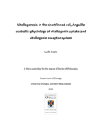 Vitellogenesis in the shortfinned eel, Anguilla australis: physiology of vitellogenin uptake and vitellogenin receptor system
