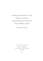 Modelling and Simulation of GeneRegulatory Networks: Segmentation genes of Honeybee (Apis mellifera) embryos