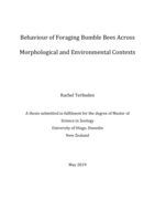 Behaviour of Foraging Bumble Bees Across Morphological and Environmental Contexts