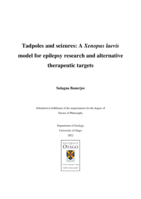 Tadpoles and seizures: A Xenopus laevis model for epilepsy research and alternative therapeutic targets